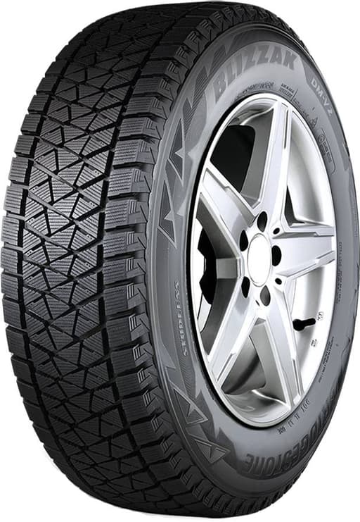 Bridgestone Blizzak DM-V2